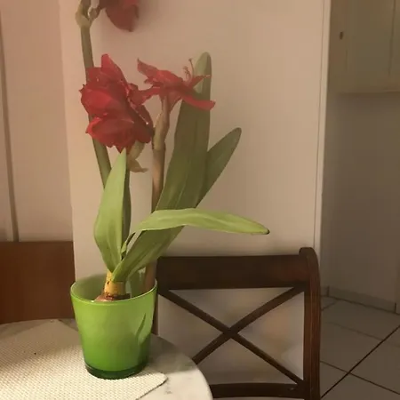 Gaestezimmer Bei Ingrid Проживание в семье *