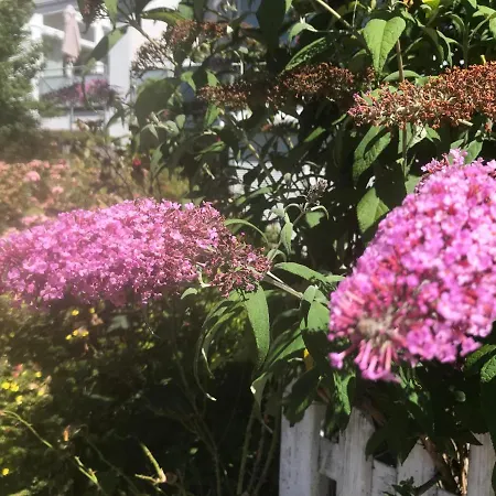 Проживание в семье Gaestezimmer Bei Ingrid Тюбинген