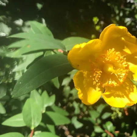 Проживание в семье Gaestezimmer Bei Ingrid *