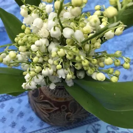 Gaestezimmer Bei Ingrid Проживание в семье Тюбинген